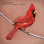 Alexisonfire: Old Crows / Young Cardinals, LP,LP