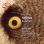 Jean Sibelius: Kullervo-Symphonie op.7, CD