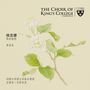: King's College Choir Cambridge - Second Farewell to Cambridge, SACD
