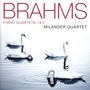 Johannes Brahms: Klavierquartette Nr.1 & 3, CD