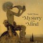 „Eskil Roos Mystery of the Mind“, Illustration eines Flötenspielers bei Nacht mit funkelnden Sternen im Hintergrund.