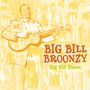 Big Bill Broonzy: Big Bill Blues, CD