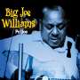 Big Joe Williams (Guitar / Blues): Po' Jo, CD