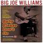 Big Joe Williams (Guitar / Blues): Baby Please Don't Go: The Collection 1935 - 1962, CD,CD,CD,CD,CD