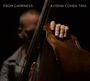 Avishai Cohen (Bass): From Darkness, CD