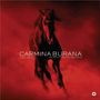 Carl Orff: Carmina Burana (180g), LP,LP