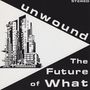 Unwound: The Future of What, CD