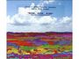 Parts & Labor & Tyondai Braxton ‎: Rise Rise Rise, CD