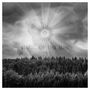 Glare Of The Sun: Soil, CD