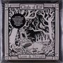 "Club d’Elf", "Loon & Thrush", "2 LP's Feat. Moroccan-Infused". Schwarz-weiße Illustration eines Waldes mit Vögeln.