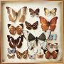 Emiliana Torrini: Rarities, CD