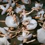 Eine Gruppe von Ballerinas trägt weiße Tutus und posiert anmutig auf dem Boden, teils liegend, teils sitzend.