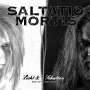 Saltatio Mortis: Licht und Schatten: Best Of 2000 - 2014, CD,CD