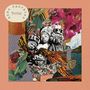 Seba Kaapstad: Thina, CD