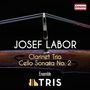 Josef Labor: Klarinettentrio e-moll, CD