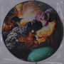 Nevermen: Mr. Mistake (Boards Of Canada Remix) (Picture Disc), SIN