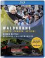 : Berliner Philharmoniker - Waldbühnenkonzert 2015, BR