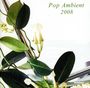 : Pop Ambient 2008, CD