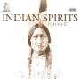Mystic Orchester: The World Of Indian Spirits Vol.2, CD,CD