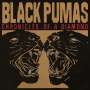 Black Pumas: Chronicles Of A Diamond (Limited Indie Retail Edition) (Cloudy Clear/Red Vinyl), LP