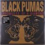 "Black Pumas: Chronicles of a Diamond". Zwei stilisierte schwarze Puma-Köpfe mit geöffneten Mäulern, sich gegenüberstehend.