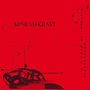 Konrad Kraft: Accident In Heaven, LP