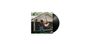 Text: "Parental Advisory". Ein Mann schaukelt vor einem Haus, im Hintergrund Bäume. Rechts ein Vinyl-Schallplattenrand.