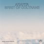 Miguel Atwood-Ferguson: Ananta: Spirit Of Coltrane (140g), LP