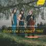 : Quantum Clarinet Trio - Brahms / Kahn / Frühling, CD
