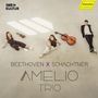 Text: "BEETHOVEN X SCHACHTNER AMELIO TRIO". Drei sitzende Personen mit Instrumenten auf hellem Boden.