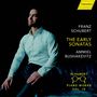 "FRANZ SCHUBERT THE EARLY SONATAS AMMIEL BUSHAKEVITZ". Ein Mann im Hemd sitzt nachdenklich, ein Logo oben rechts.