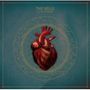 The Veils: Sun Gangs, LP