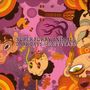 Super Furry Animals: Dark Days/Light Years, CD
