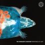 The Stargazer's Assistant: Remoteness Of Light, CD