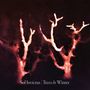 Sol Invictus: Trees In The Winter, CD