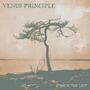 Venus Principle: Stand In Your Light (Crystal Clear Vinyl), LP,LP