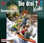 : Die Drei ??? Kids 40: Brennendes Eis, CD