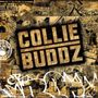 Collie Buddz: Collie Buddz, CD