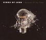 Kings Of Leon: Because Of The Times - Deluxe Edition (CD + DVD), CD,DVD