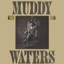 Muddy Waters: King Bee, CD