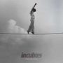 Incubus: If Not Now, When? (180g), LP