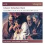 Johann Sebastian Bach: Kantaten BWV 27,34,41,56,82,206,207a, CD,CD,CD,CD