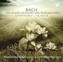 Johann Sebastian Bach: Kantaten BWV 1,48,78,140, CD