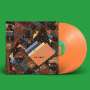 Animal Collective: Isn't It Now? (Limited Edition) (Orange Vinyl), LP,LP