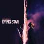 Ruston Kelly: Dying Star, LP,LP