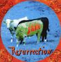 Peter Panka's Jane: Resurrection, CD