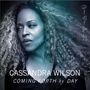 Cassandra Wilson: Coming Forth By Day (180g), LP,LP