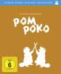 Isao Takahata: Pom Poko (Blu-ray), BR