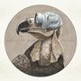Protest The Hero: Volition, CD