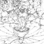 Es sind keine sichtbaren Texte vorhanden. Zu sehen ist eine detaillierte Schwarz-Weiß-Zeichnung von verdrehten Ästen.